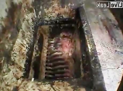 دستگاه چرخ گوشت انسانی در زندان صدام  + فیلم