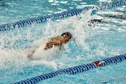 شصت و هفتمی شناگر ایرانی در قهرمانی جهان بوداپست